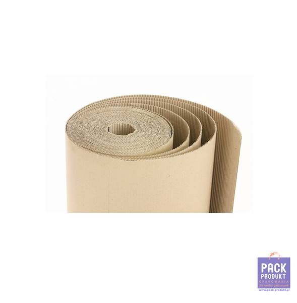 TEKTURA 2W FALISTA SZARA 1,0 x 100M.