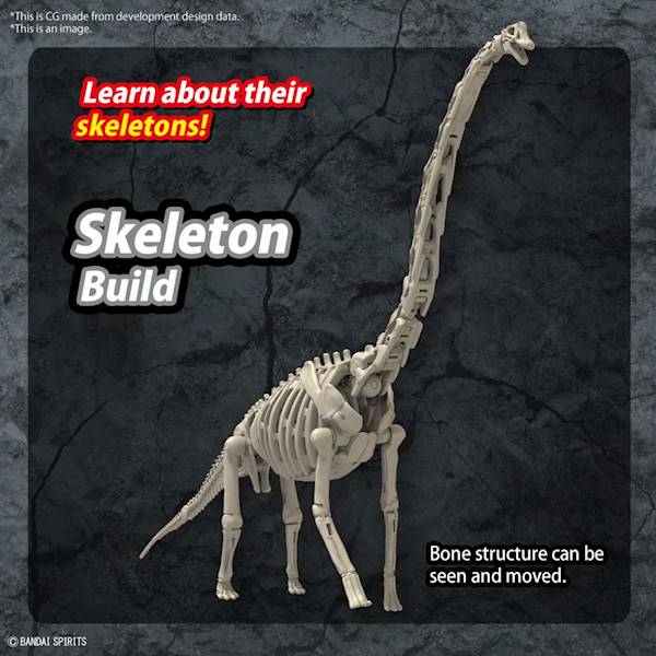 Model do składania Plannosaurus Brachiiosaurus 27 cm