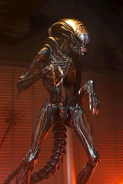 Alien: Romulus Ultimate Scorched Xenomorph 18 cm