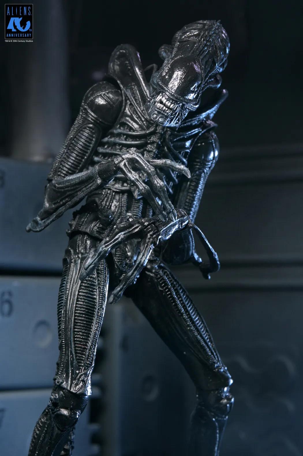 [PRZEDSPRZEDAŻ] Aliens 40th Anniversary: Warrior Xenomorph Black - Ultimate 23 cm