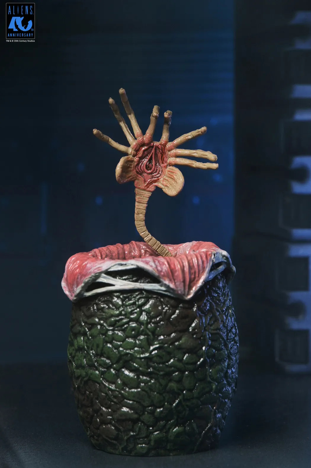 [PRZEDSPRZEDAŻ] Aliens 40th Anniversary: Warrior Xenomorph Black - Ultimate 23 cm