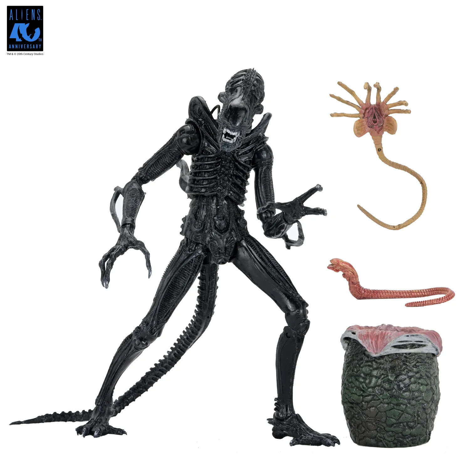 [PRZEDSPRZEDAŻ] Aliens 40th Anniversary: Warrior Xenomorph Black - Ultimate 23 cm