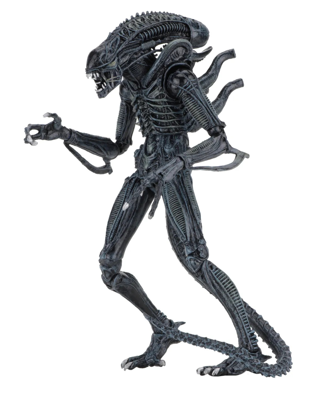 [PRZEDSPRZEDAŻ] Aliens: Alien Warrior Blue 1986 Ultimate 23 cm