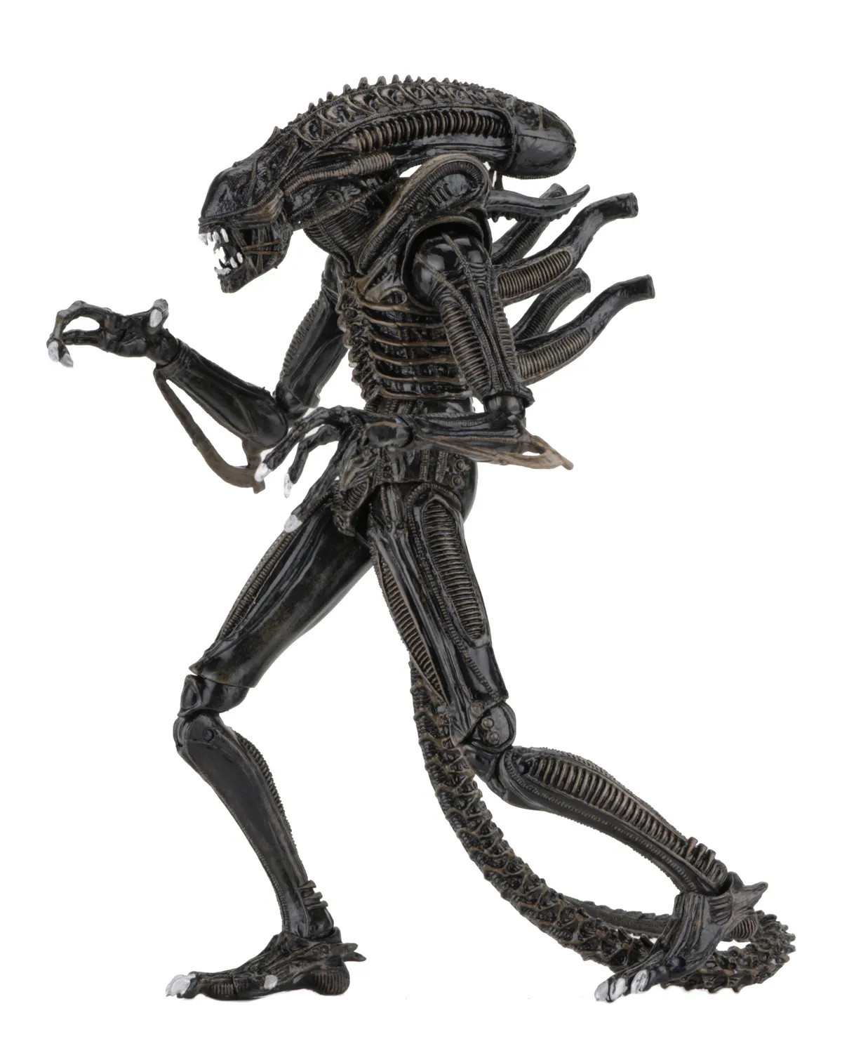 [PRZEDSPRZEDAŻ] Aliens: Alien Warrior Brown 1986 - Ultimate 23 cm