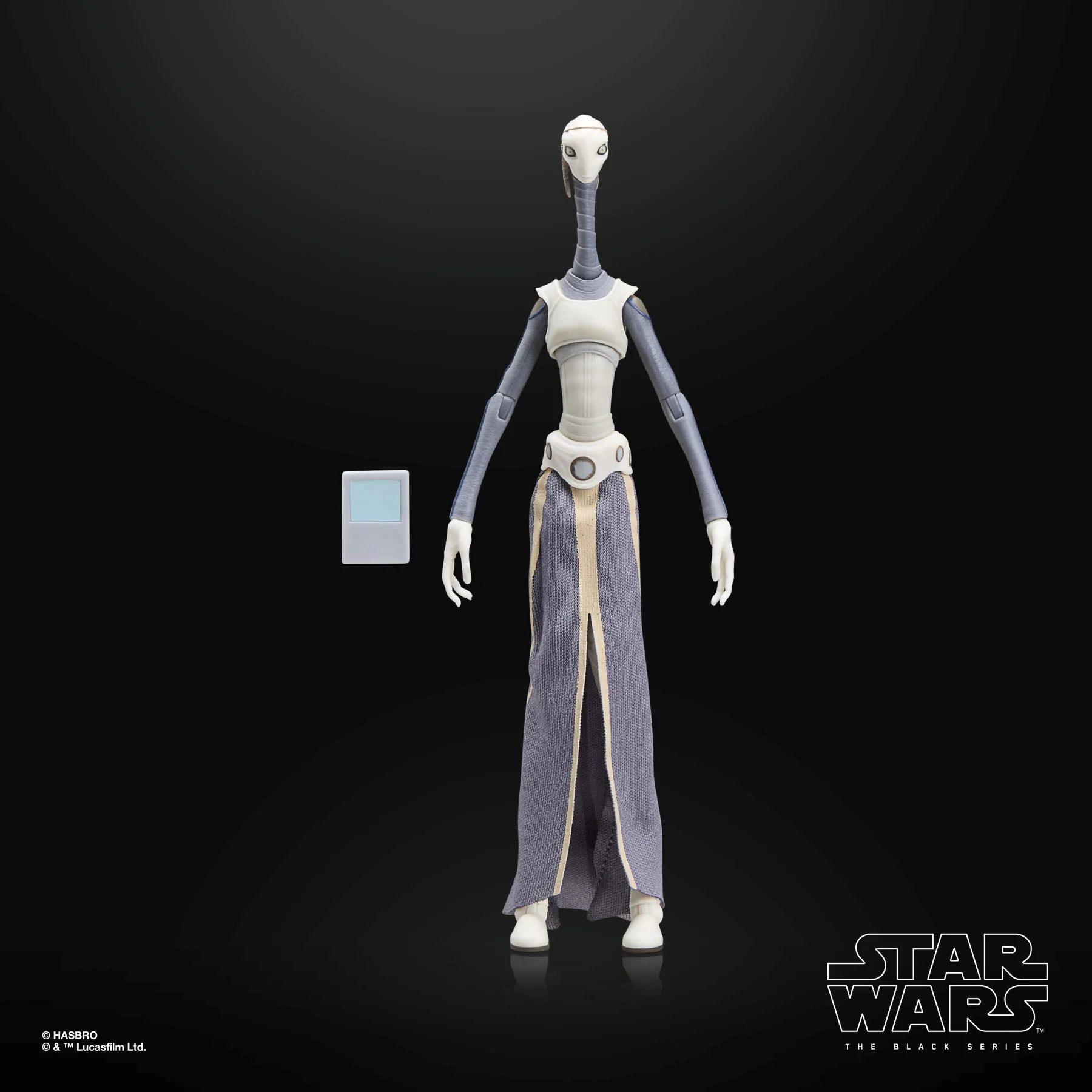 STAR WARS: Taun We - The Black Series 15 cm