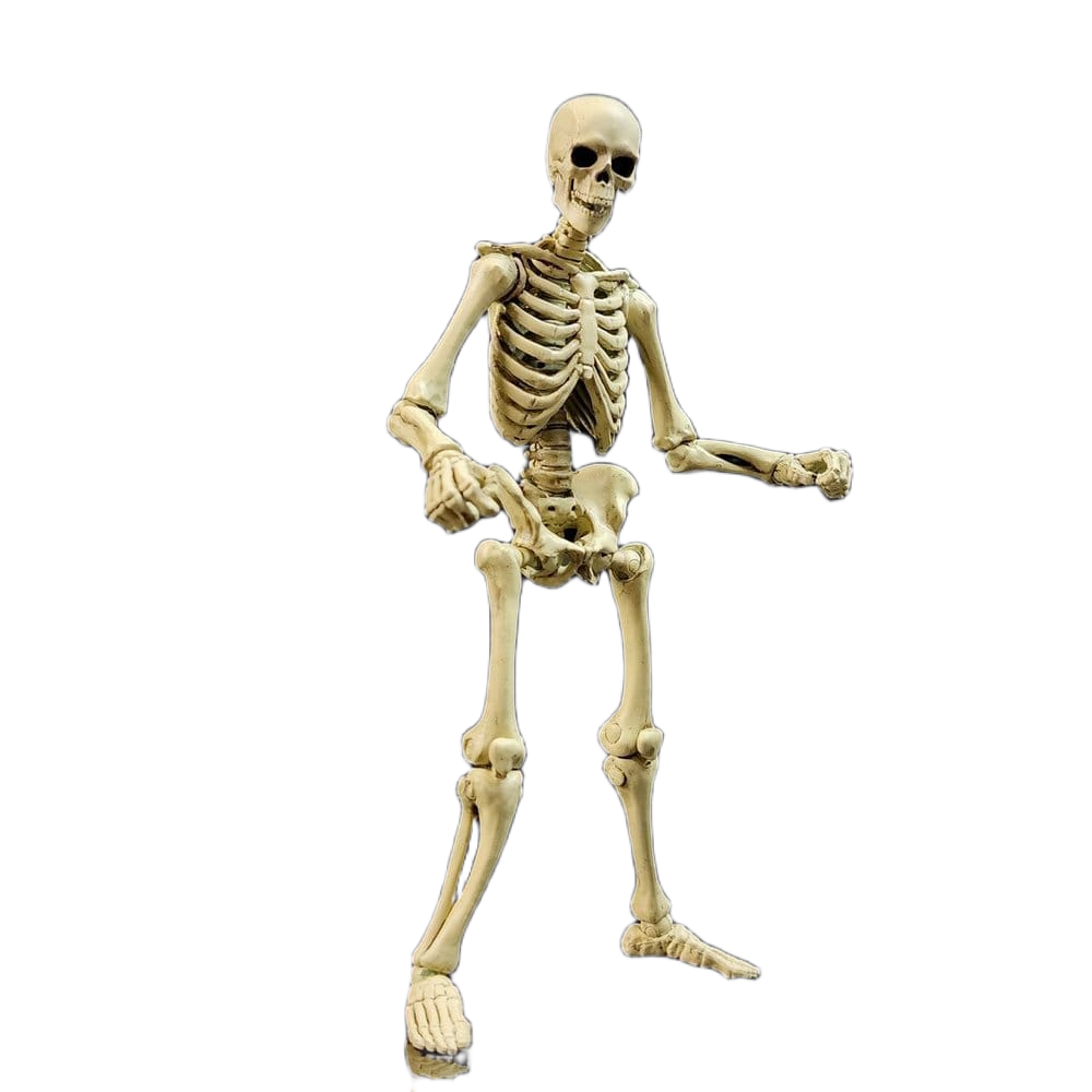 [PRZEDSPRZEDAŻ] Skeleton Blank Classic Bone - Epic  H.A.C.K.S. skala 1/12 