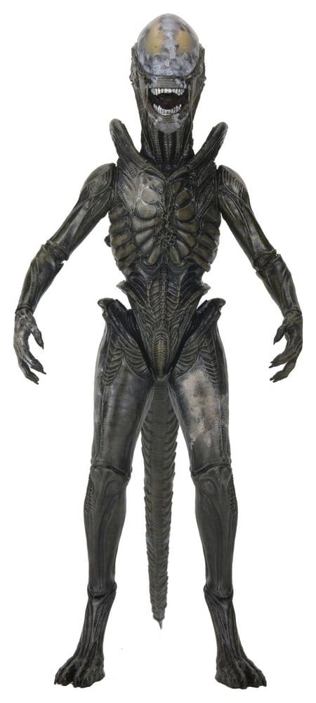 [PRZEDSPRZEDAŻ] Alien: Earth - Wendy's Xenomorph -Ultimate 18 cm