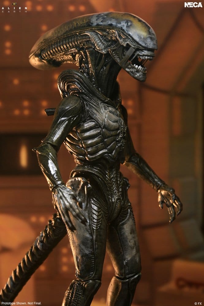 [PRZEDSPRZEDAŻ] Alien: Earth - Wendy's Xenomorph -Ultimate 18 cm