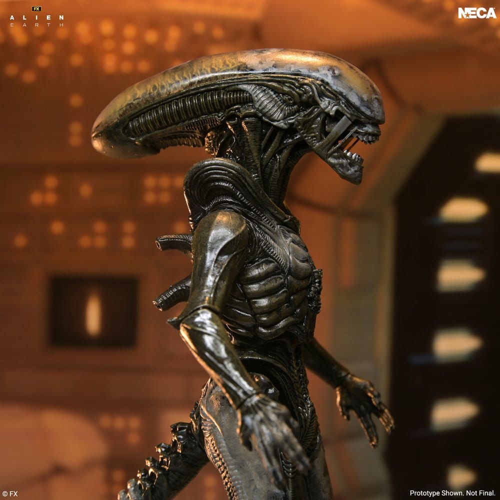 [PRZEDSPRZEDAŻ] Alien: Earth - Wendy's Xenomorph -Ultimate 18 cm
