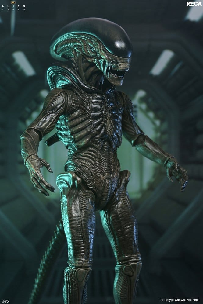 [PRZEDSPRZEDAŻ] Alien: Earth - Xenomorph - Ultimate 18 cm