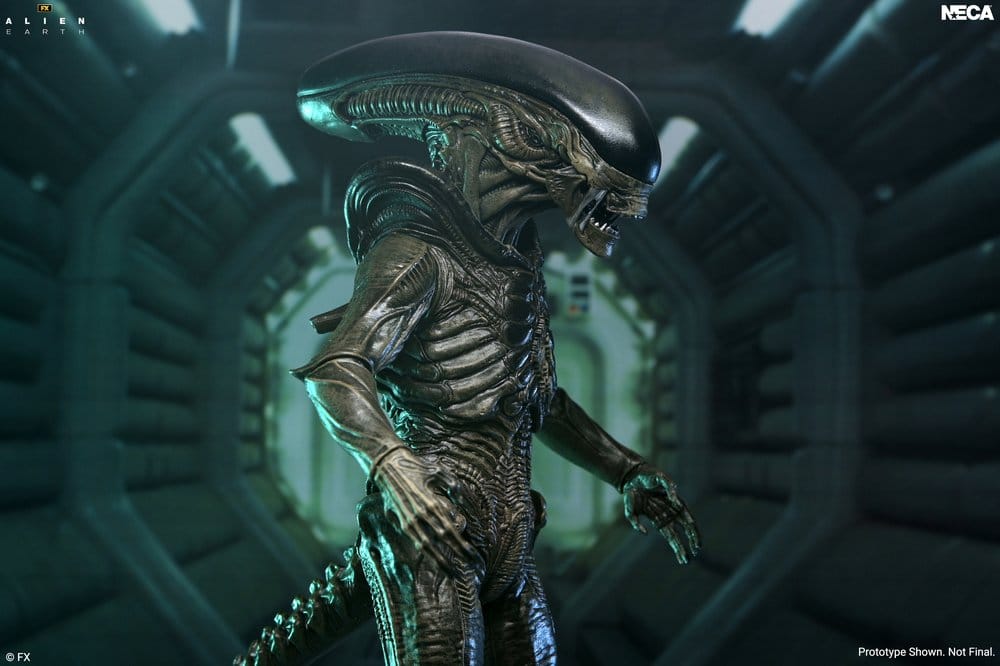 [PRZEDSPRZEDAŻ] Alien: Earth - Xenomorph - Ultimate 18 cm