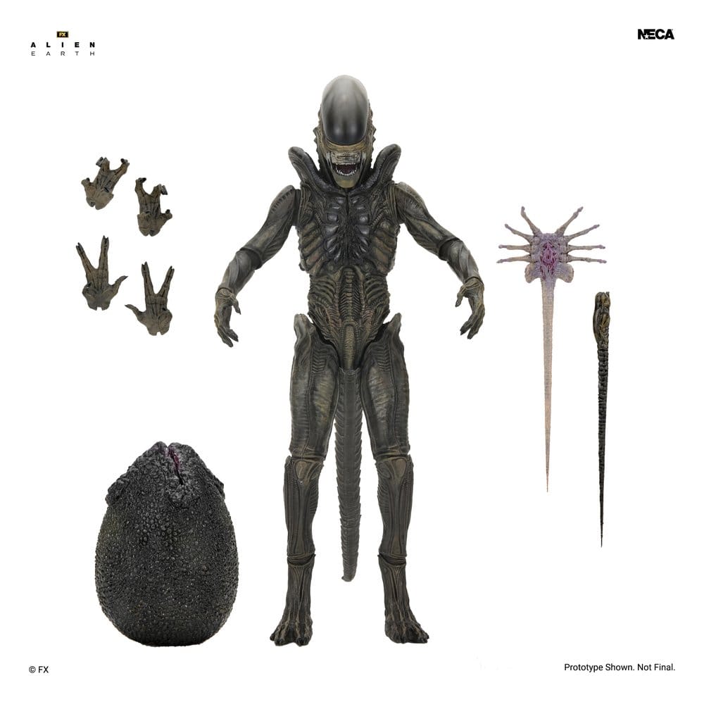 [PRZEDSPRZEDAŻ] Alien: Earth - Xenomorph - Ultimate 18 cm