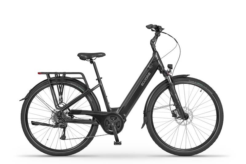 ROWER ECOBIKE LX100