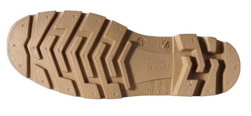 Gumowce  wysokie  43