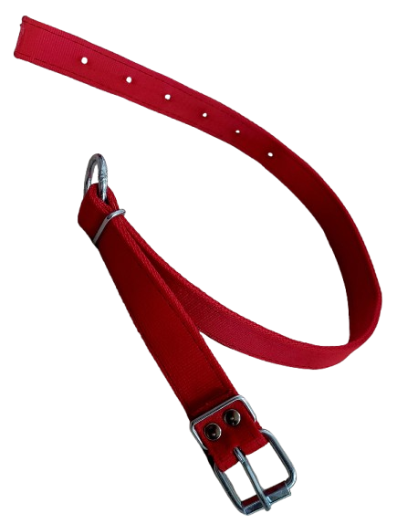 Pas hodowlany  Ci.sprzączka