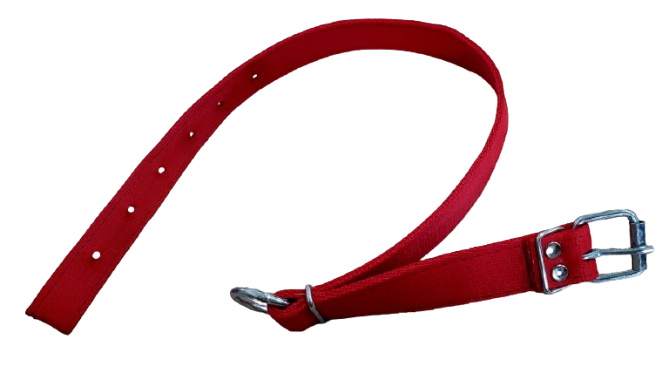 Pas hodowlany  Ci.sprzączka