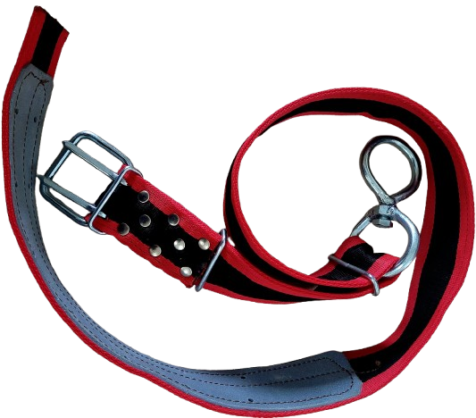 Pas hodowlany     B  wzmocniony