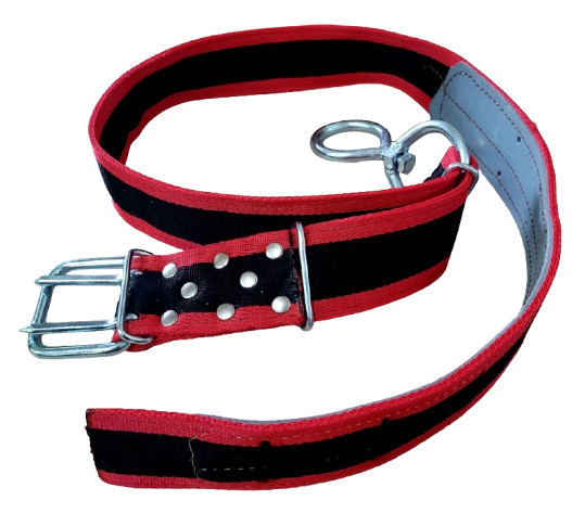 Pas hodowlany     B  wzmocniony