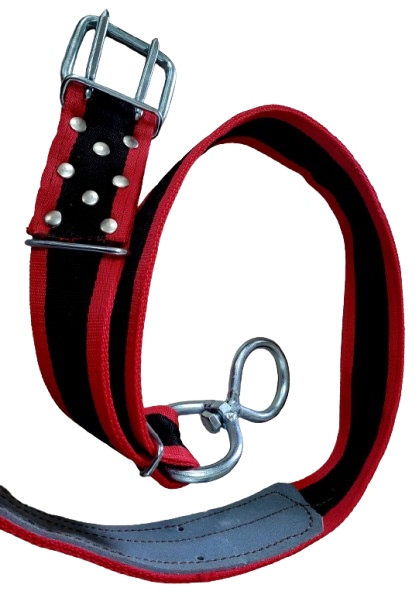 Pas hodowlany     B  wzmocniony