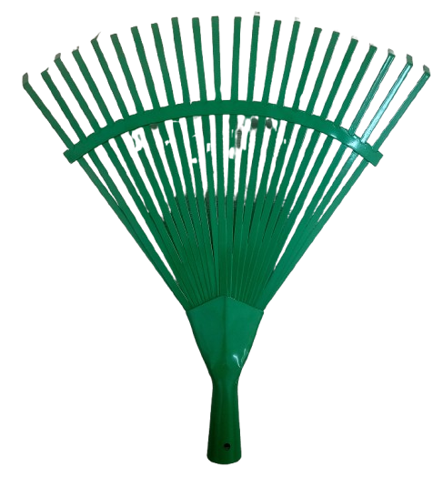 Grabie do liści z płaskownika nieoprawne