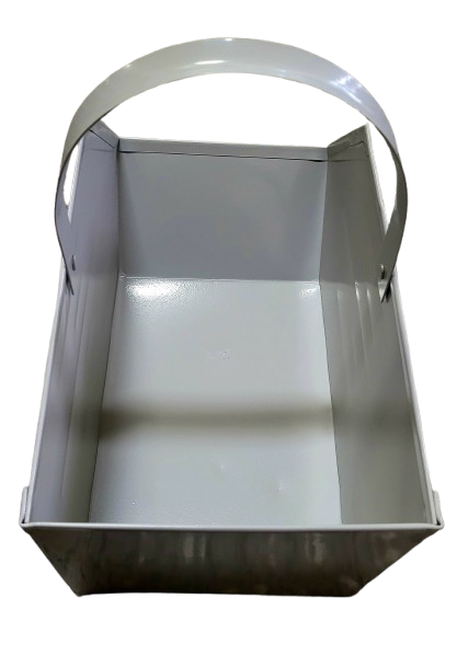 Węglarka  duża malowana