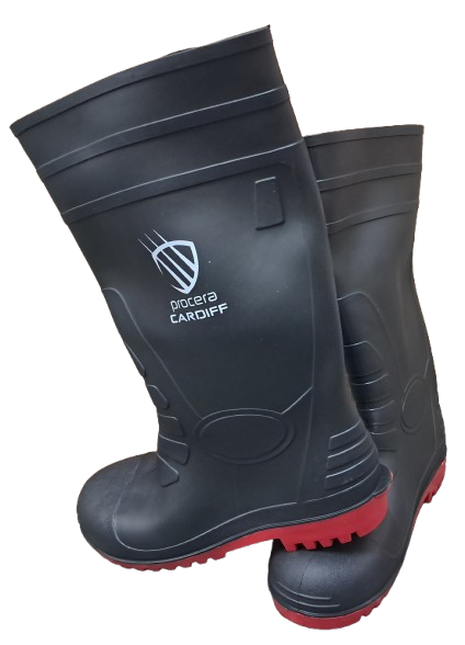 Gumowce  wysokie  41 PROCERA