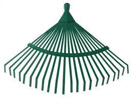 Grabie do liści z płaskownika nieoprawne