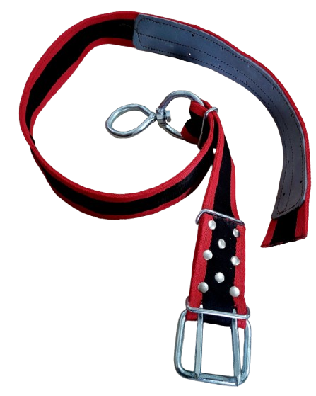 Pas hodowlany     B  wzmocniony