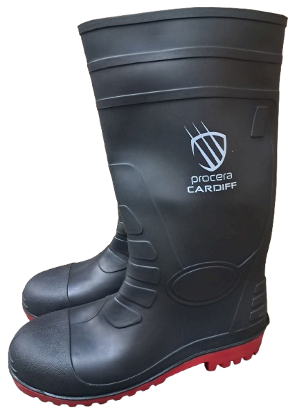 Gumowce  wysokie  44 PROCERA