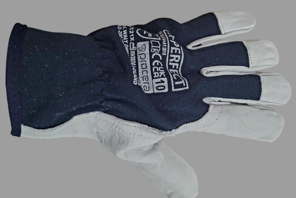 R  rękawice    kozia skórka   ocieplane 10