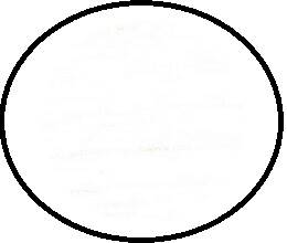 Zaślepka FI14 Sosna Andersen