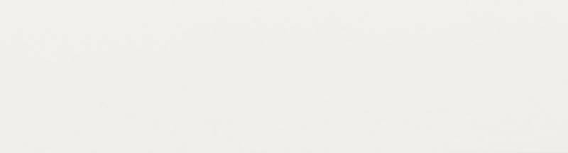 PCV 201-F 42X2 Biały Front