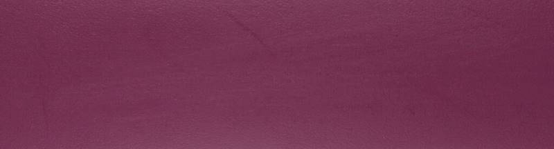 PCV 251 22x1 Żurawina "5"