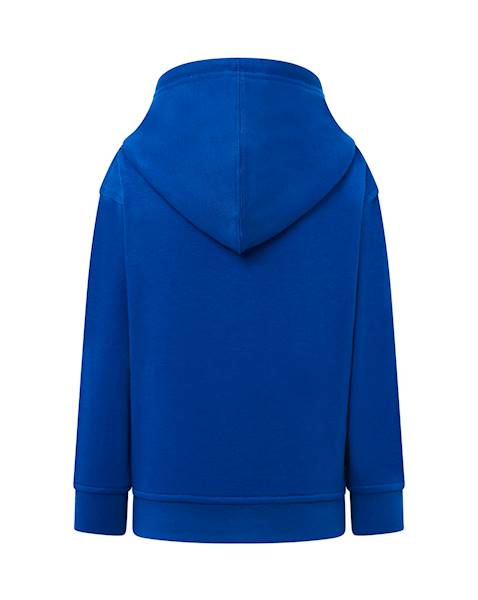 Bluza