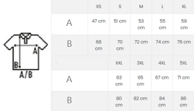 Polo krótki rękaw dla chłopca 2 kolorowa