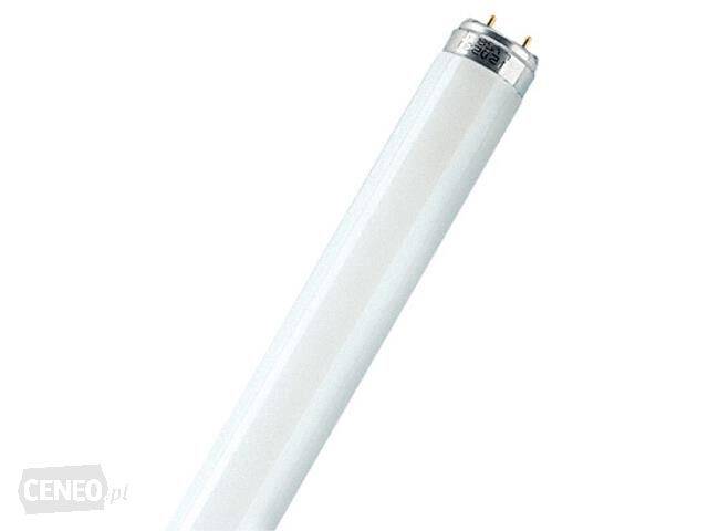 Świetlówka 36W niebieska // Fluorescent lamp 36W blue art. 255851