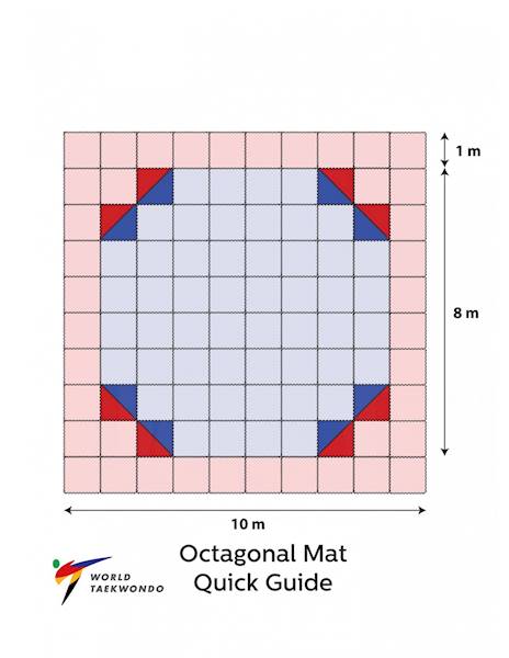 Daedo Mata Tatami WT App. OCTAGON 25mm