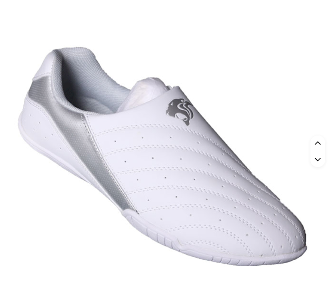 Woosung Buty TKD Comfort Silver 39-255