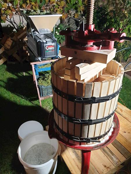 Wino Czerwone Wytrawne Saskie