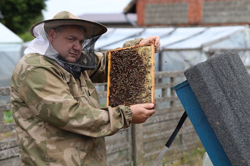 Miód Pitny Wino z miodu Trójniak 