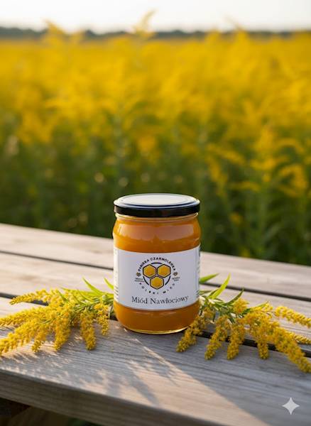 Miód Nawłociowy 610 g