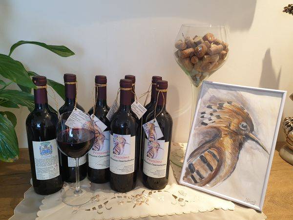 Wino Czerwone Półwytrawne Prosimo