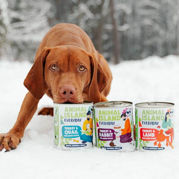 ANIMAL ISLAND DOG EVERYDAY INDYK I JAGNIĘCINA (PASZTET) 800G