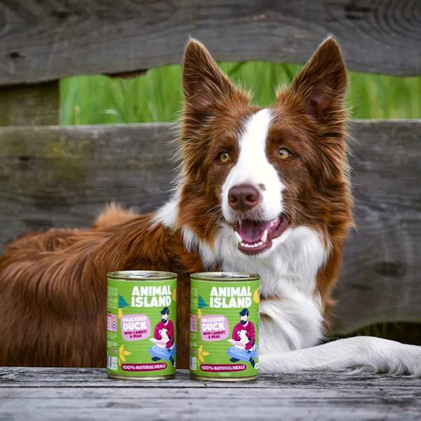ANIMAL ISLAND DOG PREMIUM KACZKA Z MARCHEWKĄ I GRUSZKĄ 400G