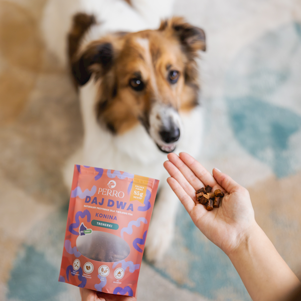 PERRO DAJ DWA TRENERKI Z KONINĄ 85G 