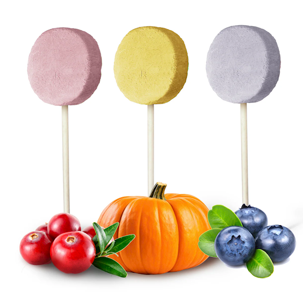 [NA SZTUKI] DR MALOU MIĘSNY LIZAK LIOFILIZOWANY DLA PSA 48G