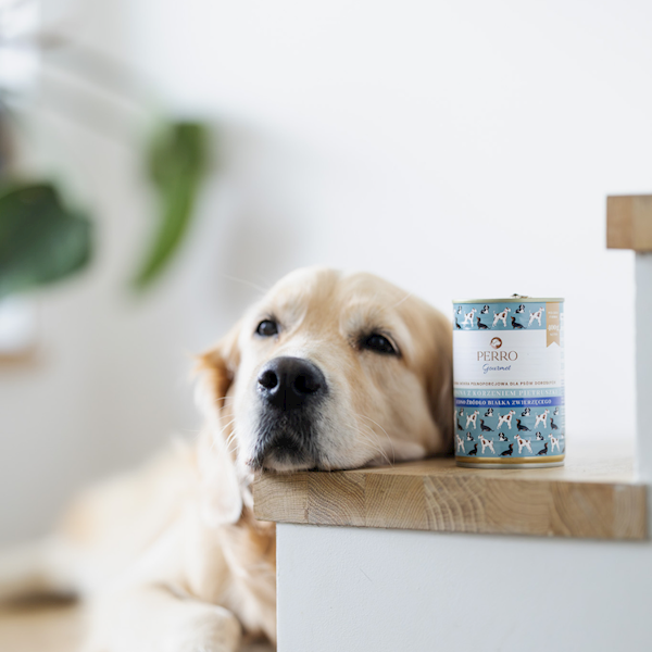 PERRO GOURMET KONINA Z KORZENIEM PIETRUSZKI 400G