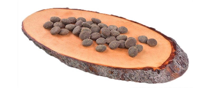 CARNILOVE DOG TRUE FRESH BEEF 1,4KG