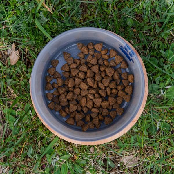 ANIMAL ISLAND DOG PREMIUM ŁOSOŚ (KARMA SUCHA) 1KG