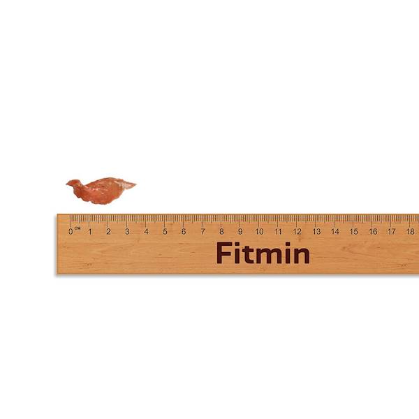 FITMIN CAT FOR LIFE TREAT RABBIT MINI RINGS 70G